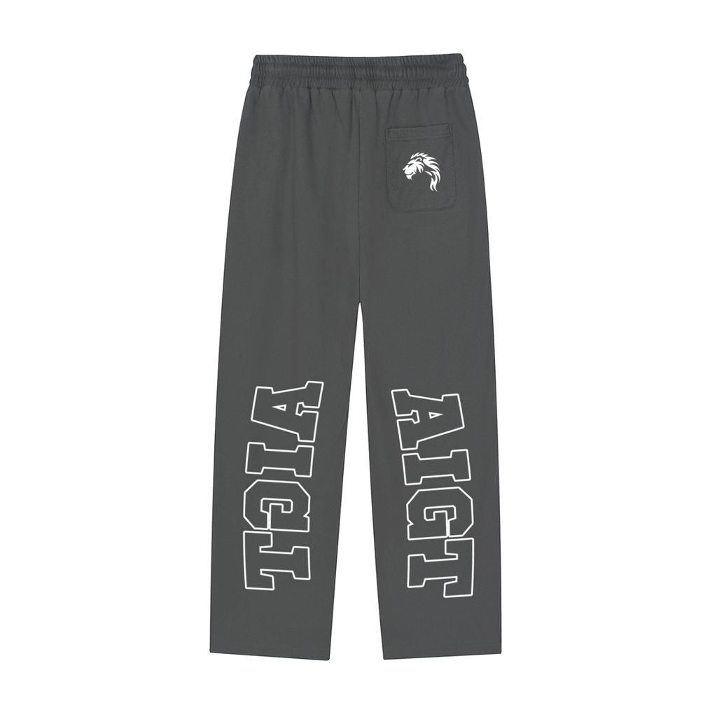 A.I.G.T - Reflection Stripe Sweatpants