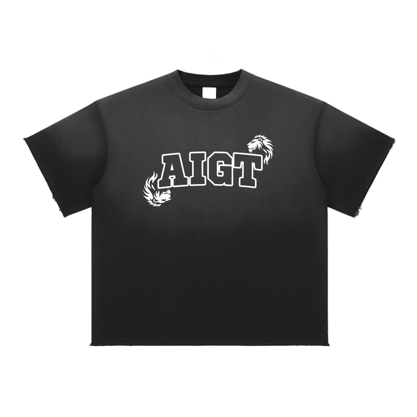 A.I.G.T - Sun Fade Raw Edge T-Shirt